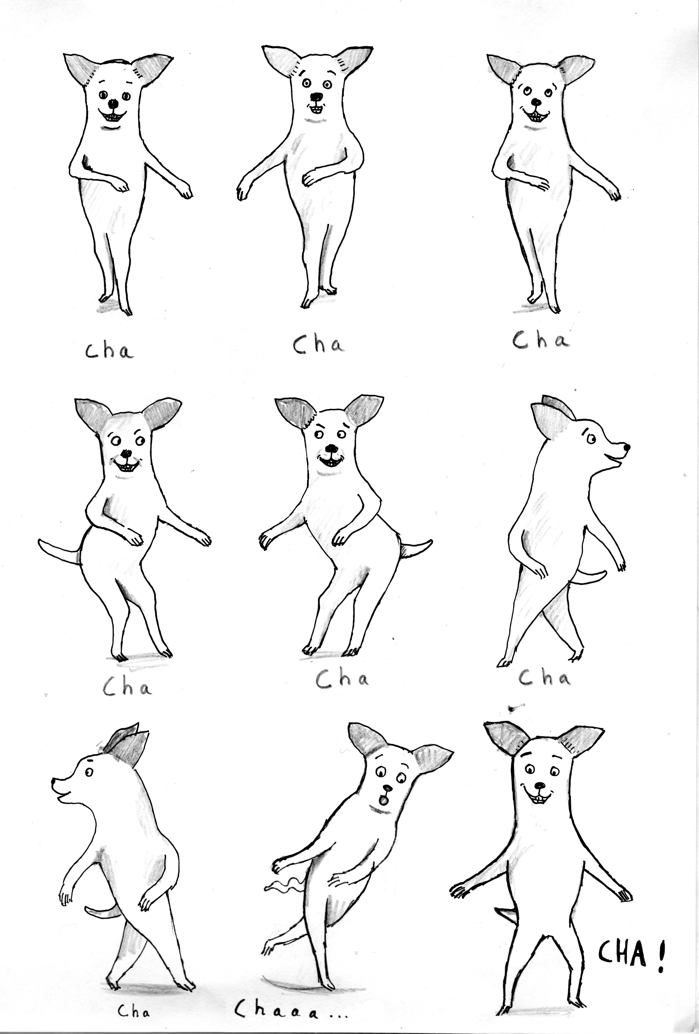 charlie the chihuahua small